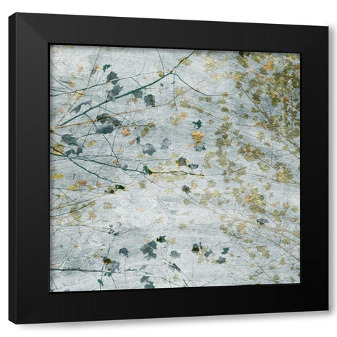 Seasonal Transition I Black Modern Wood Framed Art Print with Double Matting by Chandler, Sharon