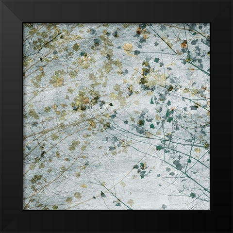 Seasonal Transition II Black Modern Wood Framed Art Print by Chandler, Sharon