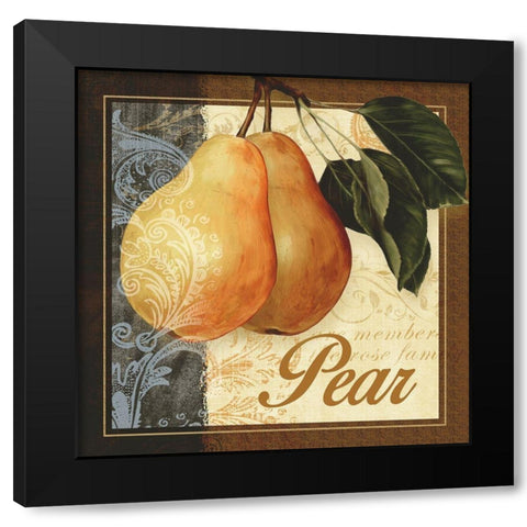 Fruit Illustration III Black Modern Wood Framed Art Print with Double Matting by White, Abby