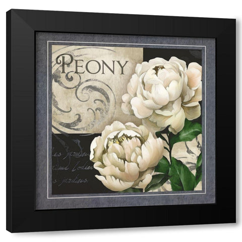 Flowers on BandW IV Black Modern Wood Framed Art Print with Double Matting by White, Abby