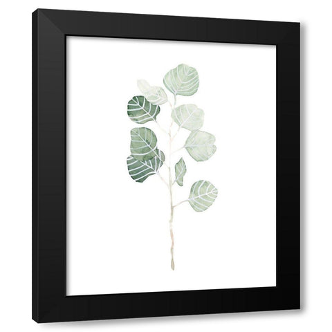 Soft Eucalyptus Branch I Black Modern Wood Framed Art Print with Double Matting by Scarvey, Emma