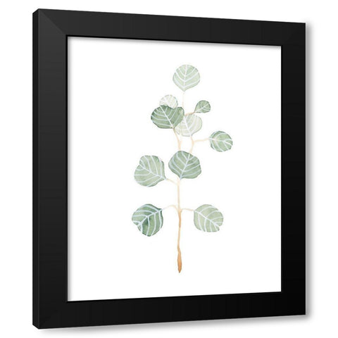 Soft Eucalyptus Branch II Black Modern Wood Framed Art Print with Double Matting by Scarvey, Emma