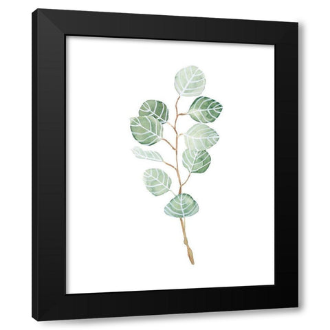 Soft Eucalyptus Branch III Black Modern Wood Framed Art Print with Double Matting by Scarvey, Emma