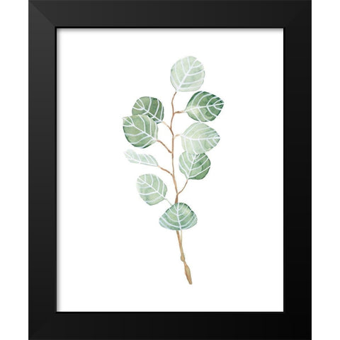 Soft Eucalyptus Branch III Black Modern Wood Framed Art Print by Scarvey, Emma