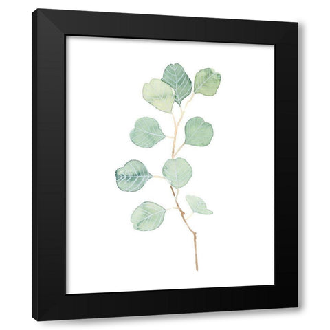 Soft Eucalyptus Branch IV Black Modern Wood Framed Art Print by Scarvey, Emma