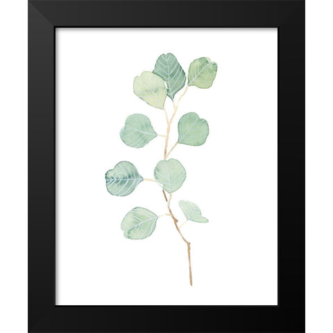 Soft Eucalyptus Branch IV Black Modern Wood Framed Art Print by Scarvey, Emma