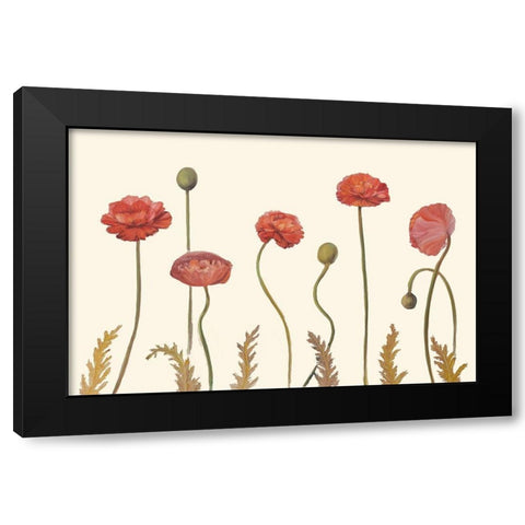 Coral Poppy Display I Black Modern Wood Framed Art Print with Double Matting by Iafrate, Sandra