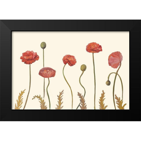 Coral Poppy Display I Black Modern Wood Framed Art Print by Iafrate, Sandra
