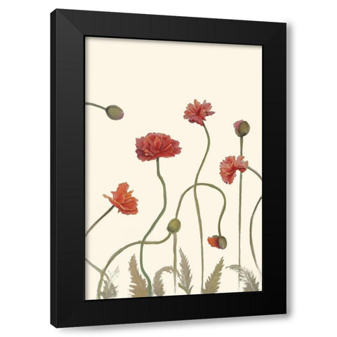 Coral Poppy Display III Black Modern Wood Framed Art Print with Double Matting by Iafrate, Sandra