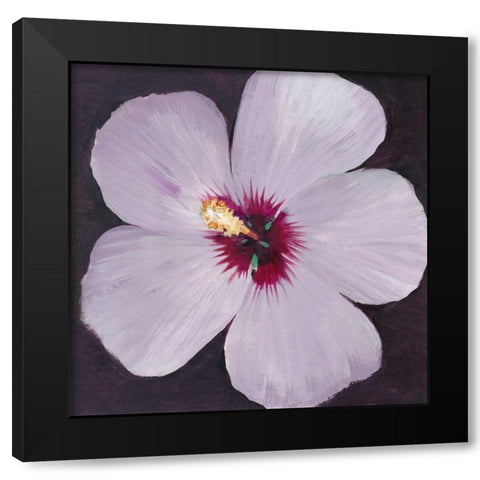 Hibiscus Portrait I Black Modern Wood Framed Art Print with Double Matting by OToole, Tim