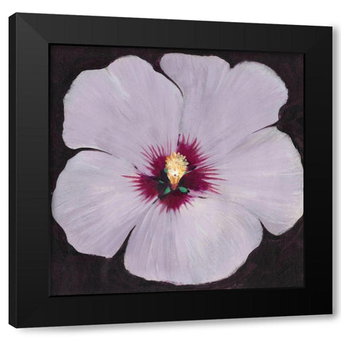 Hibiscus Portrait II Black Modern Wood Framed Art Print with Double Matting by OToole, Tim