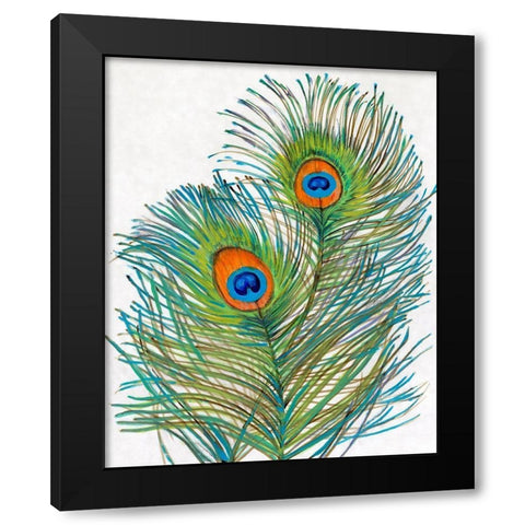 Vivid Peacock Feathers I Black Modern Wood Framed Art Print with Double Matting by OToole, Tim