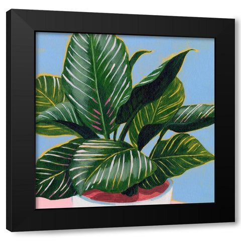 Calethea III Black Modern Wood Framed Art Print with Double Matting by Popp, Grace