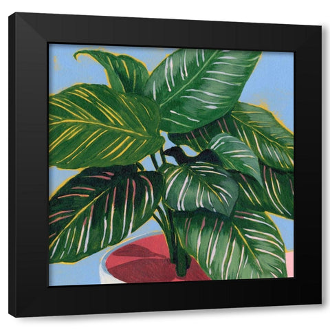 Calethea IV Black Modern Wood Framed Art Print with Double Matting by Popp, Grace