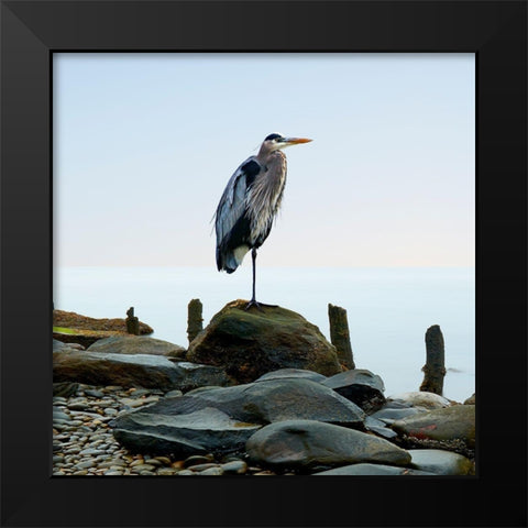 Beachscape Heron I Black Modern Wood Framed Art Print by McLoughlin, James