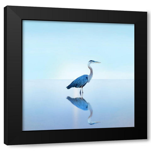 Beachscape Heron II Black Modern Wood Framed Art Print by McLoughlin, James