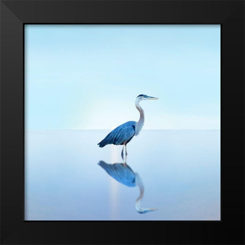 Beachscape Heron II Black Modern Wood Framed Art Print by McLoughlin, James