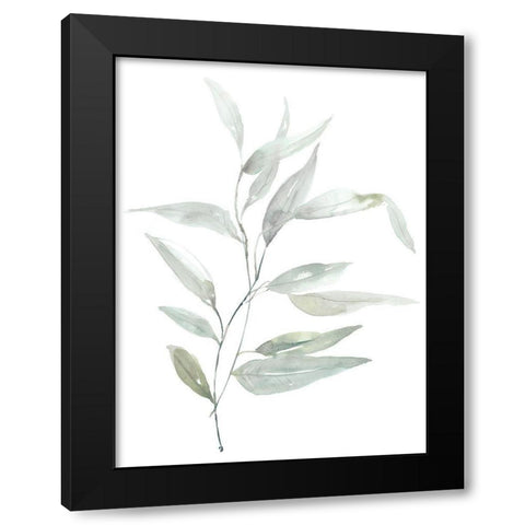 Ethereal Eucalyptus II Black Modern Wood Framed Art Print by Goldberger, Jennifer