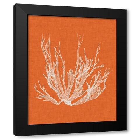 Seaweed Pop I Black Modern Wood Framed Art Print with Double Matting by Vision Studio