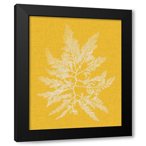 Seaweed Pop II Black Modern Wood Framed Art Print with Double Matting by Vision Studio