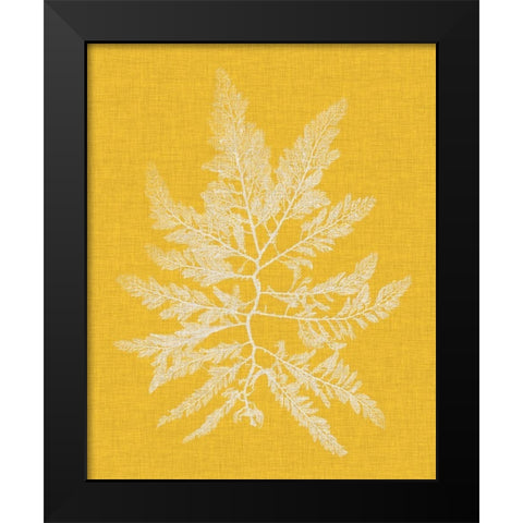 Seaweed Pop II Black Modern Wood Framed Art Print by Vision Studio