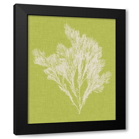 Seaweed Pop V Black Modern Wood Framed Art Print by Vision Studio