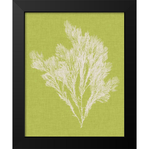 Seaweed Pop V Black Modern Wood Framed Art Print by Vision Studio