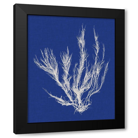 Seaweed Pop VI Black Modern Wood Framed Art Print by Vision Studio