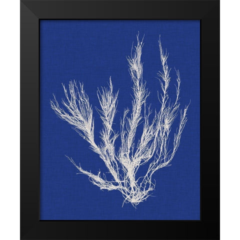Seaweed Pop VI Black Modern Wood Framed Art Print by Vision Studio