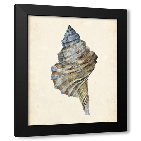 3-UP Watercolor Seashell III Black Modern Wood Framed Art Print by Wang, Melissa