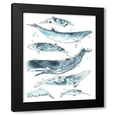 3-UP Cetacea II Black Modern Wood Framed Art Print by Vess, June Erica