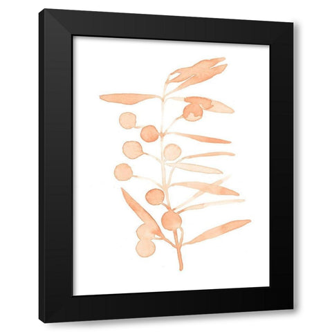 Blush Olive Branch II Black Modern Wood Framed Art Print by Scarvey, Emma