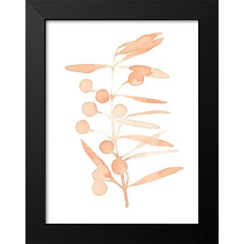 Blush Olive Branch II Black Modern Wood Framed Art Print by Scarvey, Emma