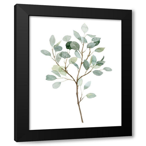 Seaglass Eucalyptus II Black Modern Wood Framed Art Print by Popp, Grace