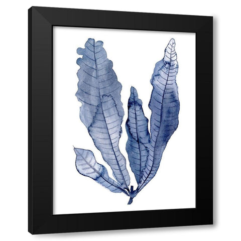 Seaweed Under Water IV Black Modern Wood Framed Art Print with Double Matting by Wang, Melissa