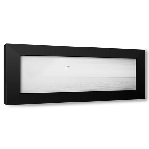 Black and White Water Panel XVI Black Modern Wood Framed Art Print with Double Matting by McLoughlin, James