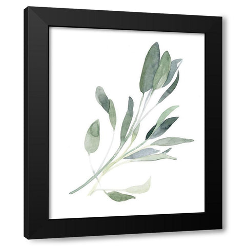 Simple Sage I Black Modern Wood Framed Art Print with Double Matting by Scarvey, Emma