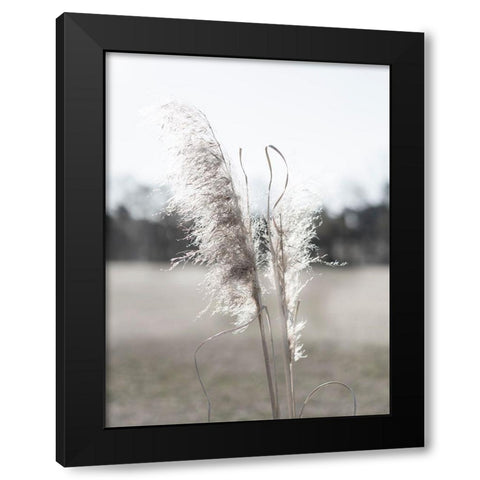 Ethereal Pampas I Black Modern Wood Framed Art Print by Johnson, Jason