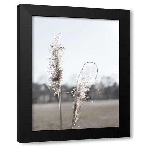 Ethereal Pampas II Black Modern Wood Framed Art Print with Double Matting by Johnson, Jason
