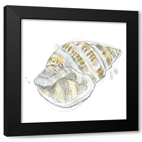 Citron Shell Sketch I Black Modern Wood Framed Art Print with Double Matting by Vess, June Erica