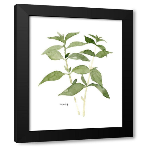 Herb Garden Sketches I Black Modern Wood Framed Art Print with Double Matting by Scarvey, Emma