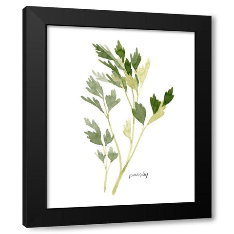 Herb Garden Sketches II Black Modern Wood Framed Art Print with Double Matting by Scarvey, Emma