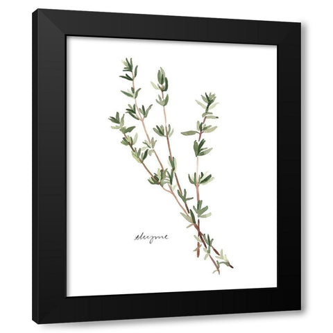 Herb Garden Sketches VI Black Modern Wood Framed Art Print by Scarvey, Emma