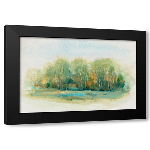 Forest Vignette I Black Modern Wood Framed Art Print with Double Matting by OToole, Tim