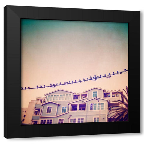 Birds on Wires I Black Modern Wood Framed Art Print by Brown, Thomas
