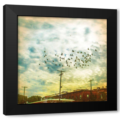 Birds on Wires V Black Modern Wood Framed Art Print with Double Matting by Brown, Thomas