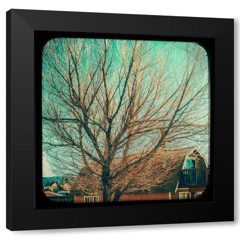 Frames of Travel III Black Modern Wood Framed Art Print by Brown, Thomas