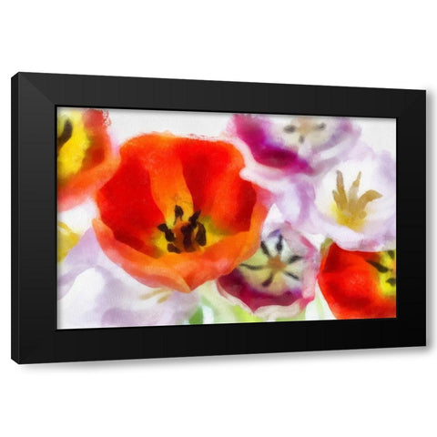 Best Wishes I Black Modern Wood Framed Art Print with Double Matting by Hartson-Weddle, Ryan