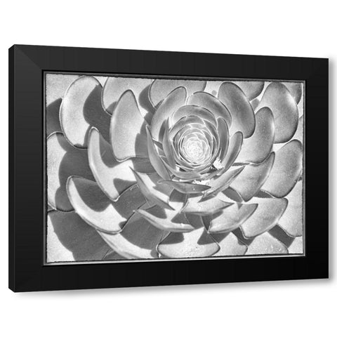 One After Another I Black Modern Wood Framed Art Print by Hartson-Weddle, Ryan
