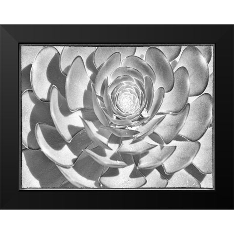 One After Another I Black Modern Wood Framed Art Print by Hartson-Weddle, Ryan